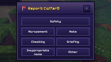 Report a player: Safety across the top, then Harassment, Hate, Cheating, Griefing, Inappropriate name and Other.